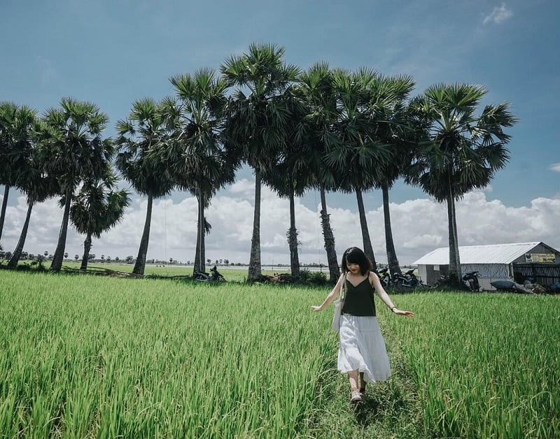 tour Vĩnh Long đi Châu Đốc 1 ngày 