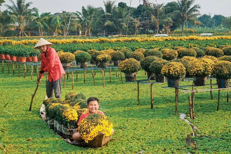 tour Vĩnh Long Đồng Tháp 1 ngày