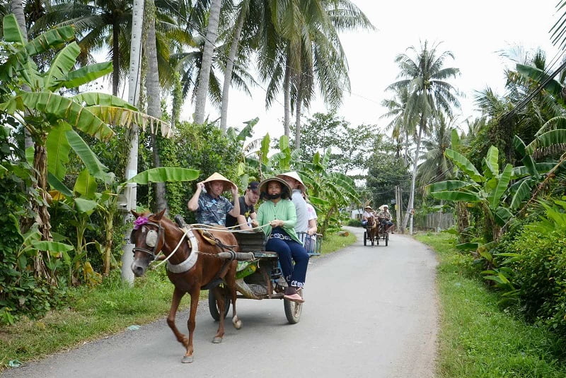 Tour Sài Gòn Miền Tây 3 ngày 2 đêm 