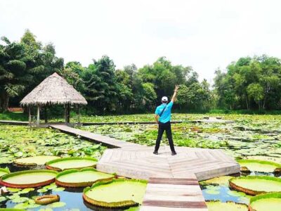 Tour Vĩnh Long Đồng Tháp 1 ngày Xẻo Quýt