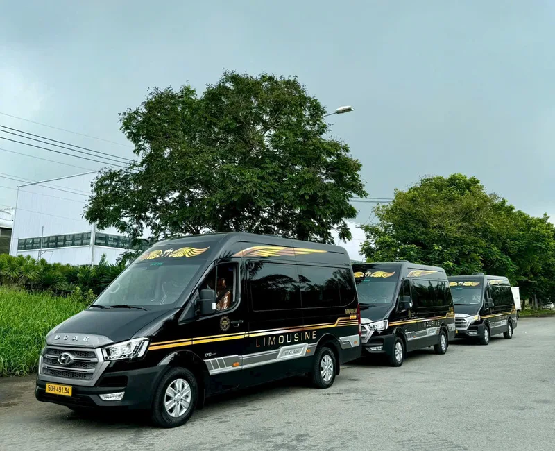 Thuê Xe Limousine Đi Vũng Tàu 