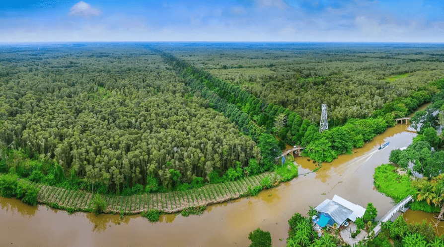 Cho Thuê Xe Du Lịch Tại Hậu Giang