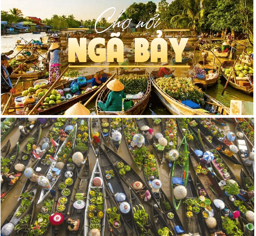 Dịch Vụ Thuê Xe 45 Chỗ Tại Hậu Giang