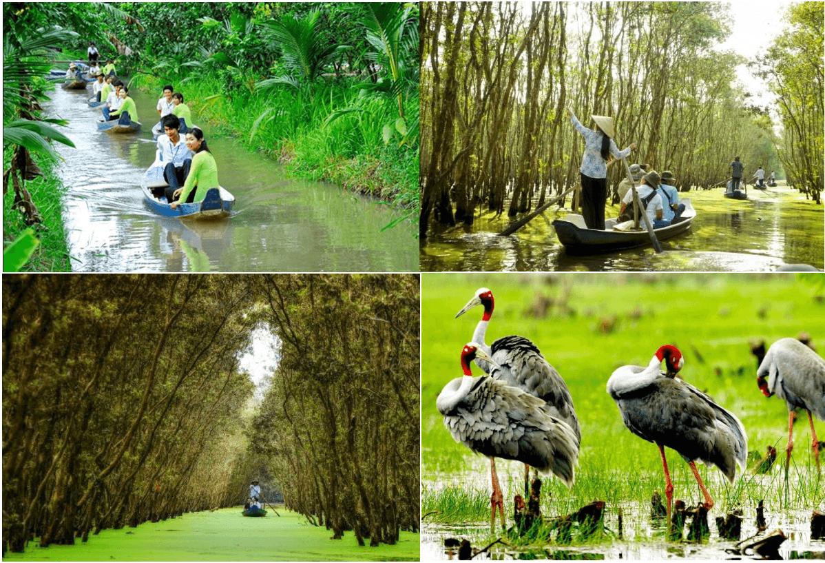 Thuê Xe 16 Chỗ Hậu Giang