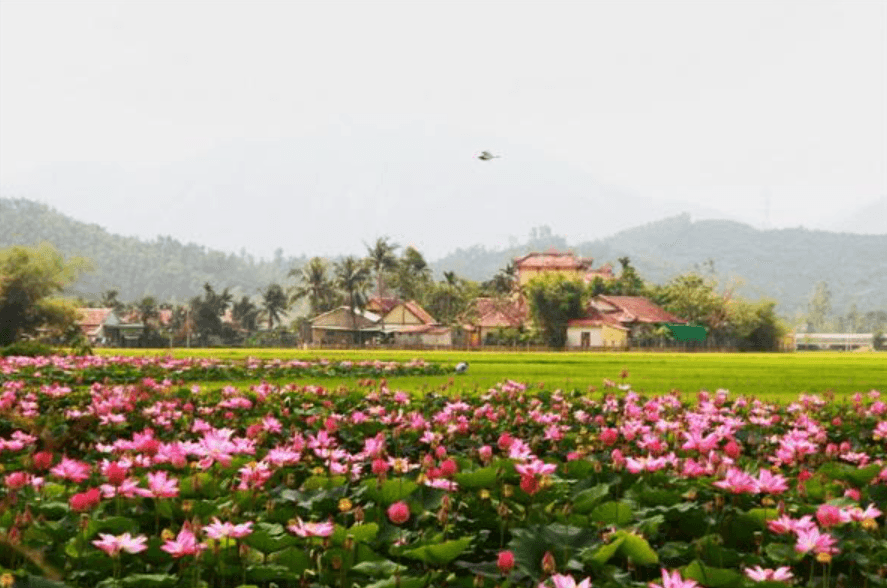 Thuê Xe 29 Chỗ Sa Đéc Đồng Tháp Đi Vũng Tàu