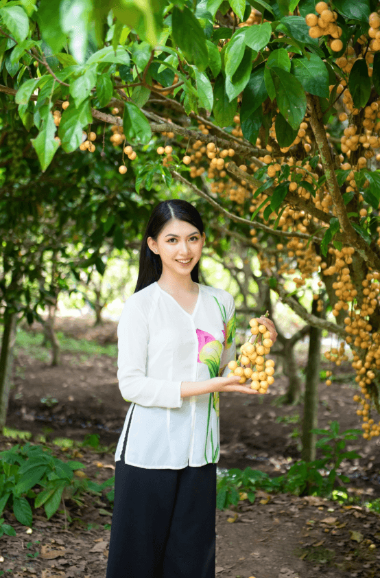 Dịch Vụ Cho Thuê Xe 29 Chỗ Tại Cần Thơ